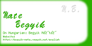 mate begyik business card